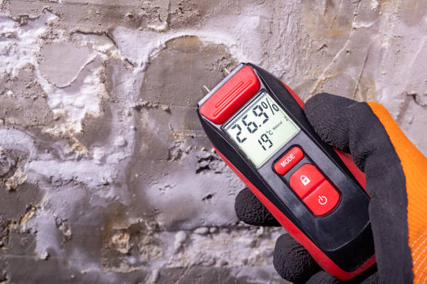 Best Mold Testing and Inspection Services in Grayson, CA